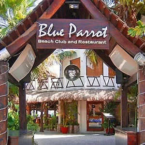 https://blue-parrot-suites-playa-del-carmen.tulum-hotels.net